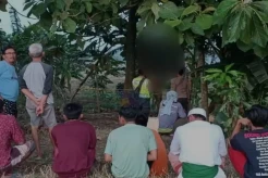 Fakta-fakta Anggota...