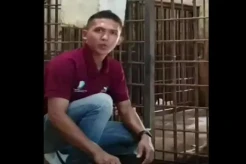 Bersihkan Kandang Harimau Benggala, Perawat Satwa TMS Seruling Mas Tewas Diterkam