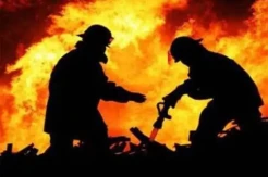 3 Gudang Tembakau PTPN 10 Ludes Terbakar, 3 Api Berhasil Dipadamkan