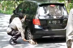 Pelancong ke Gunungkidul Membeludak, Polisi Bantu Ganjal Ban Mobil Wisatawan