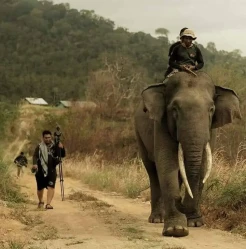 Gajah Mati Tanpa Gading, Forum Jurnalis Lingkungan Desak Polres Aceh Tenggara Usut Tuntas