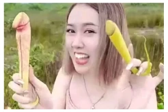 Terancam Punah, Kamboja...