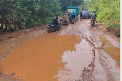 32 KM Jalan Tulung Selapan Rusak Parah hingga Lumpuhkan Ekonomi Warga, Kemana Bupati?