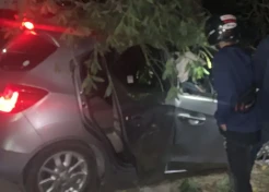 Mantan Kades Alami Patah Lengan Tabrak Pohon, Penumpang Tewas