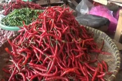 Harga Cabai Meroket, Pedagang di Pasar Kayu Agung Kelimpungan