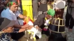Protes Manusia Kawin dengan Hewan, Kantor DPRD Gresik Dikirimi Kambing