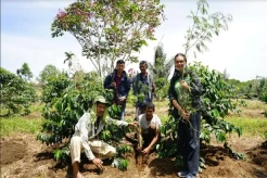 Bantu Petani Kopi Simalungun Antisipasi Serangan Hama, PT TPL Bagikan 350 Bibit Lamtoro