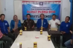 Anggota DPRD Sinjai Diberhentikan dari Kepengurusan Partai PAN