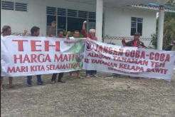 Khawatir Merusak Lingkungan, Warga Sidamanik Protes Konversi Teh ke Sawit