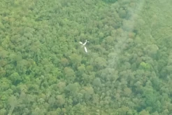 Pilot dan Penumpang Pesawat Susi Air yang Kecelakaan di Papua Dilaporkan Selamat