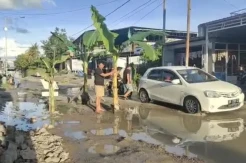 Lakukan Protes, Warga Sidrap Tanam Pohon Pisang di Jalan Rusak