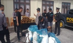 Ganja 100 Kg Tak Bertuan Ditemukan di Padang Lawas, Kapolres: Pemiliknya Kita Cari
