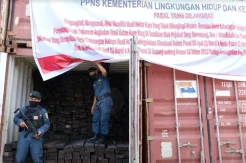 Gakkum KLHK Sulawesi Amankan 656,97 Kubik Kayu Ilegal Asal Papua