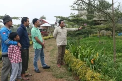 Kalla Lanjutkan Program Agroforestry Tombolo, Target Tanam 20.000 Pohon