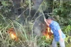 Hutan di Kawasan Danau Toba Terbakar Hebat, 1 Petani Tewas