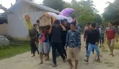 Tragis! Pria Ini Tewas Diserang Ratusan Tawon Awang Berenteng