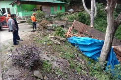 Tabrak Tugu Kera Sibaganding, Truk Tronton Masuk Jurang Sopir Tewas