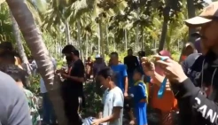 Buton Utara Gempar! Mayat Tanpa Kepala dan Kaki Ditemukan di Hutan Mangrove