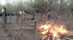 Berantas Judi, Polres Sikka Bakar Arena Sabung Ayam