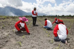 Papua Muda Inspiratif...