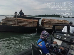 Angkut 200 Batang Kayu Ilegal, Kapal Ditangkap Polisi di Batam
