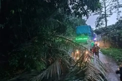Tanah Longsor Landa Desa Kasintuwu, Masyarakat Diminta Berhati-hati