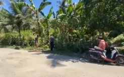 Bayi Laki-laki Terbungkus Sarung Dibuang di Jembatan Likusekka Gegerkan Bulukumba