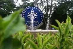 Peneliti IPB University Sebut BPA Belum Termasuk Karsinogenik, Ini Penjelasannya