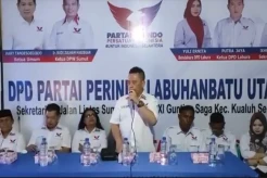 Bakar Semangat, DPW Partai Perindo Sumatera Utara Hadir di Labuhanbatu Utara