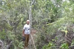 Kerangka Manusia di Perbukitan Gegerkan Warga Padang Lawas Utara