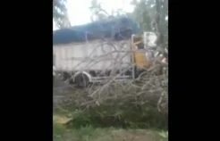 Truk Ringsek Tertimpa Pohon Tumbang di Serang Banten