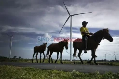 Transisi Energi RI Butuh Dana Rp15.000 Triliun, Duit dari Mana?