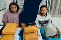 Polisi Bekuk 3 Pengedar Ganja di Pematangsiantar, Termasuk IRT dan Anak di Bawah Umur