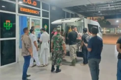 Mengerikan! Warga Pidie Aceh Tewas Terinjak-injak Kawanan Gajah