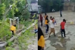 3 Warga Sinjai Utara Tertimpa Pohon Tumbang, Luka Ringan hingga Patah Tulang