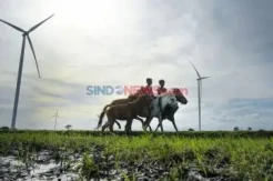 Transisi Energi Indonesia Banjir Dukungan, dari AS hingga Jepang
