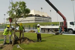 Wow! Ada Sentuhan Petani Indramayu di Stadion Piala Dunia 2022