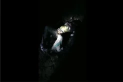 Sadis! Pemuda di Nunukan Kaltara Bunuh Pacarnya Lalu Dibakar di Hutan