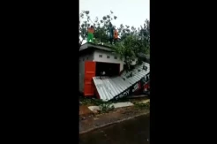 Angin Kencang Disertai Hujan Deras Terjang Maros, Sejumlah Rumah Rusak Tertimpa Pohon Tumbang