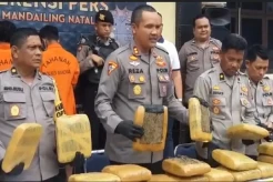 Dramatis! Aksi Kejar-kejaran Warnai Penangkapan 2 Kurir Ganja