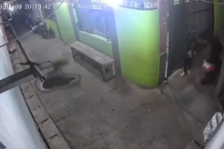 Karyawati Koja Trande...