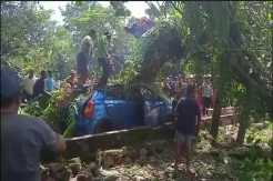 Driver Taksi Online di Gowa Tewas Tertimpa Pohon Tumbang, Evakuasi Berlangsung Dramatis