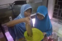 Viral Video Arwana Rp5 Juta Digoreng dan Disantap Bikin Ngilu Pecinta Ikan Sultan