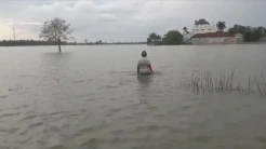 Petani Jombang Menangis, 30 Hektare Sawah Terendam Banjir