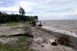 Miris! Desa Kuala Besar Langkat Terancam Tenggelam Akibat Abrasi