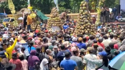 Ratusan Warga Rela Berdesakan hingga Terjepit Demi Gunungan Hasil Bumi dan Buah Durian