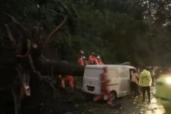Jalur Trenggalek-Ponorogo Diterjang Longsor, 2 Mobil Rusak Berat