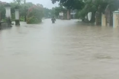 Banjir Rendam Pemukiman di Sragen, Warga Beserta Hewan Ternak Dievakuasi