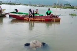 Geger, Mayat Lelaki Tanpa Identitas Mengapung di Tengah Rawa Pening Ambarawa