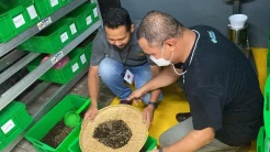 MNC Peduli Sulap Limbah Makanan Jadi Pupuk di Lingkungan MNC Center Jakarta